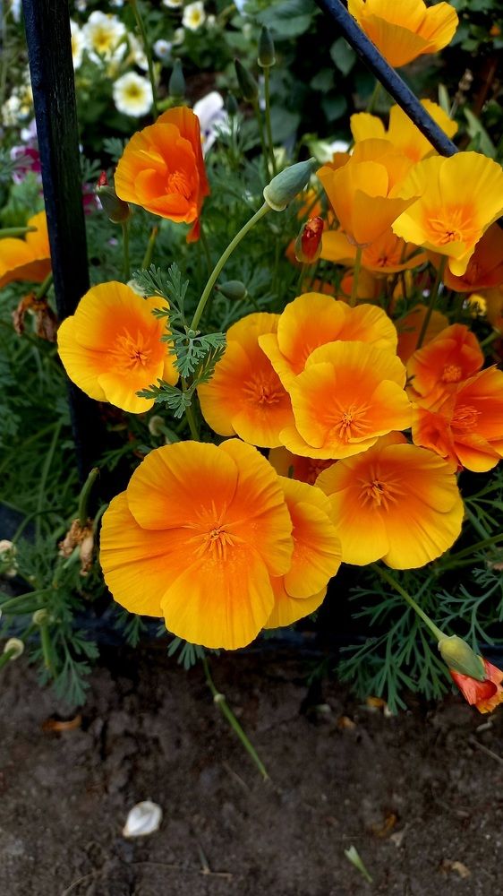 Photograph by Каковкина Ольга