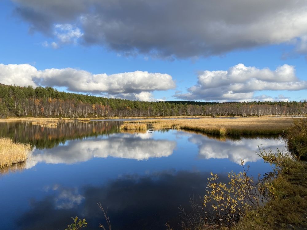 Photograph by KATYA CHERNIAVSKAIA