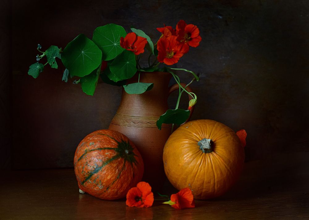 Фотография автора Оксана Льдинина