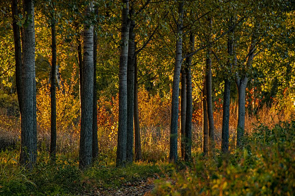 Photograph by Slavko Rošul