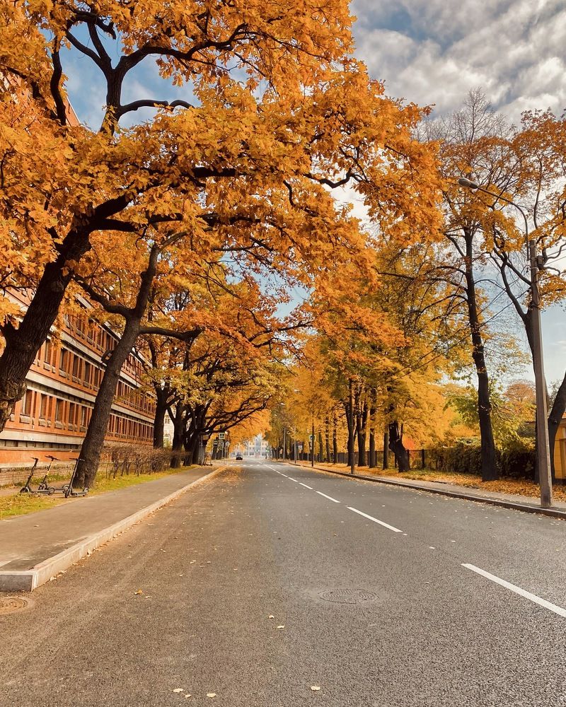 Photograph by Елена Ковалева