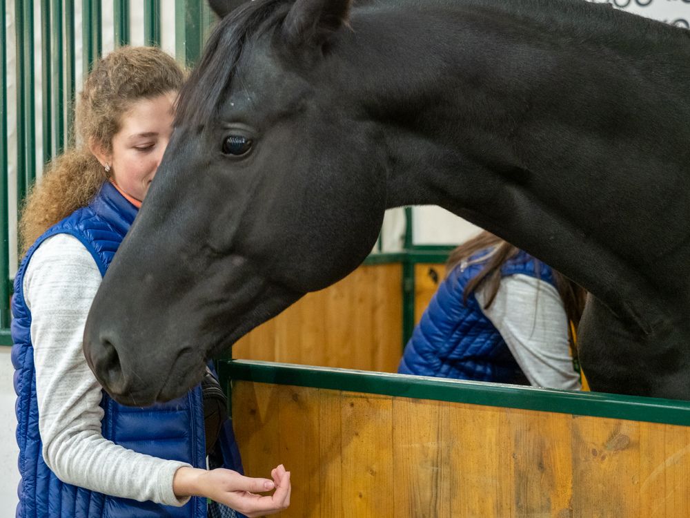 Фотография автора Валерий Бычков
