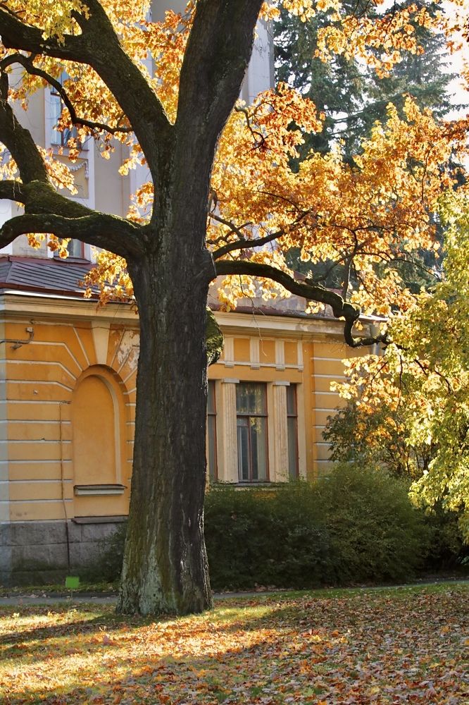 Photograph by Елена Ковалева