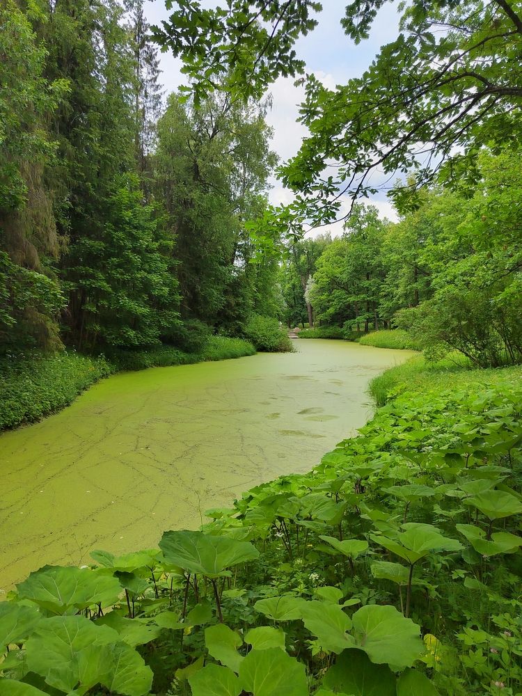 Фотография автора Ирина