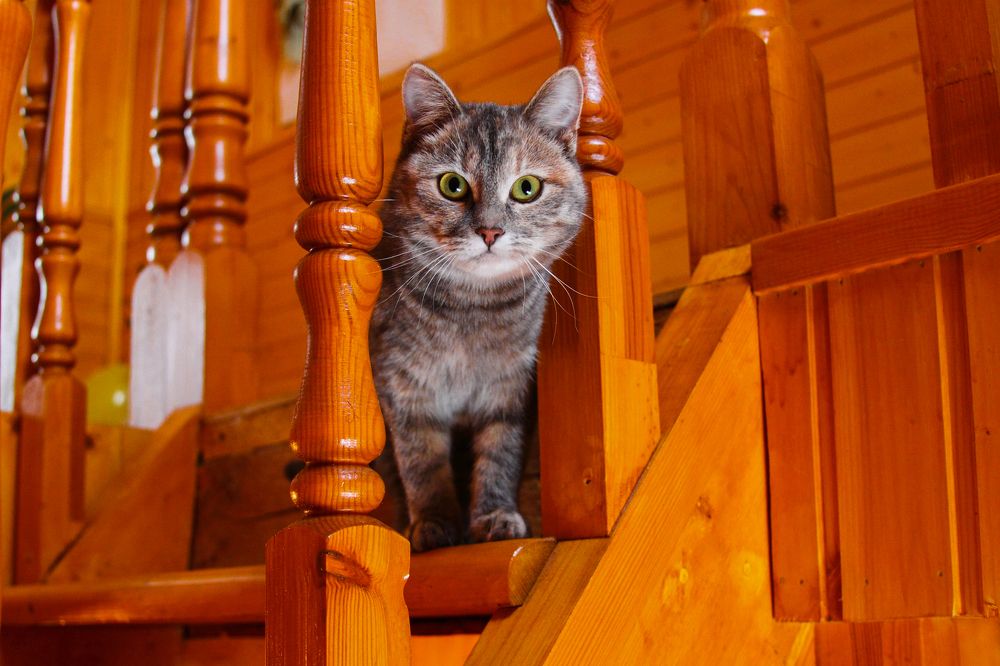 Photograph by Алексей Мартынов