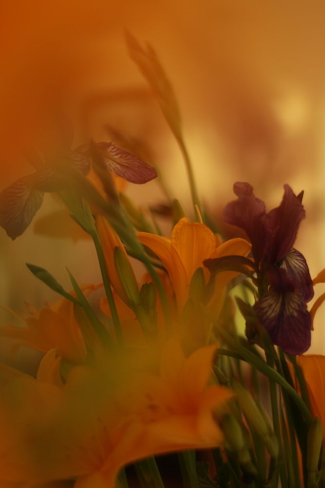 Photograph by Марина Беляева
