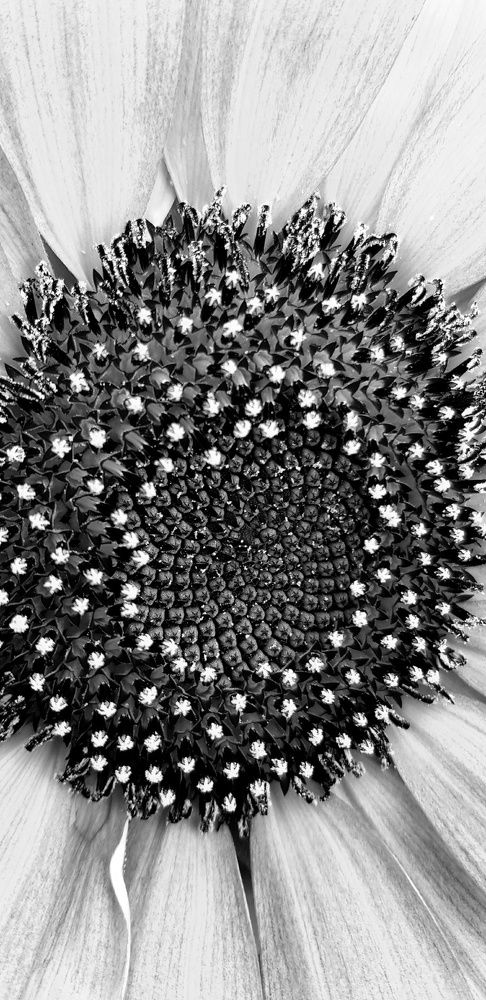 Фотография автора Ольга Мусина