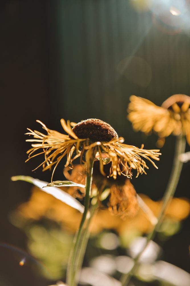 Photograph by Алиса Никитина