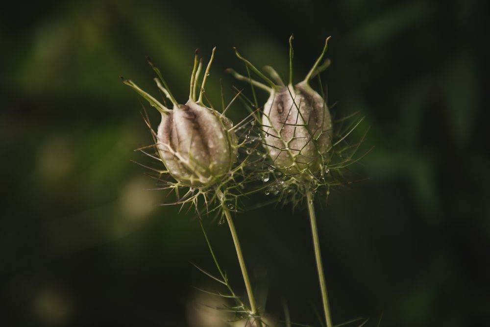Photograph by Алиса Никитина