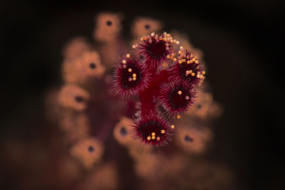 Photograph by ARUNAVA DEY