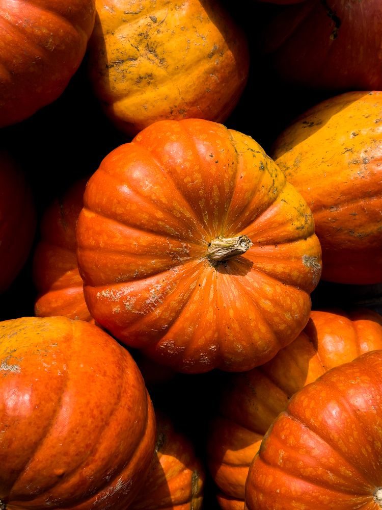 Photograph by Екатерина Попова