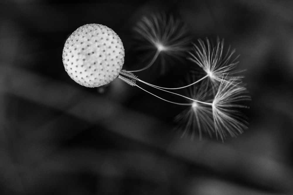 Photograph by Катя Филиппова