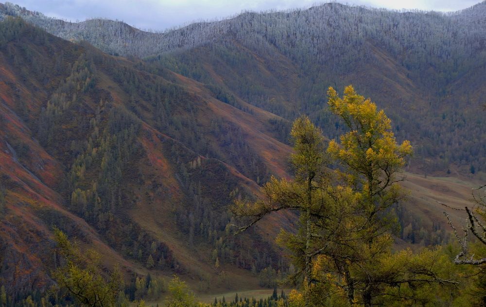 Photograph by Сергей Гребенников