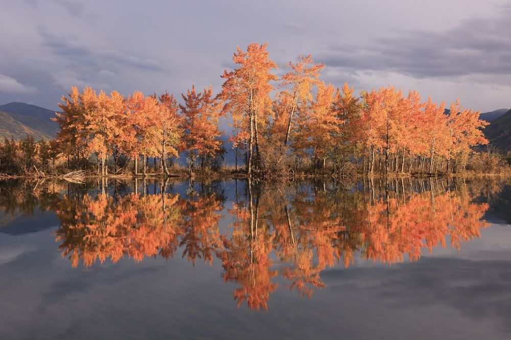 Photograph by Александра Жетикова