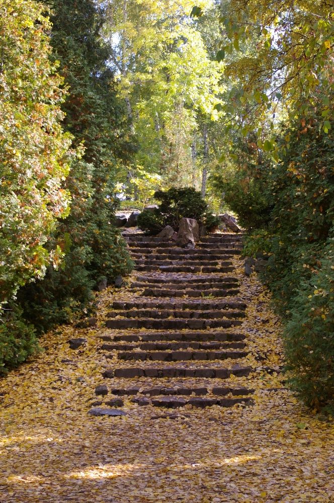 Photograph by Елена Алешкевич