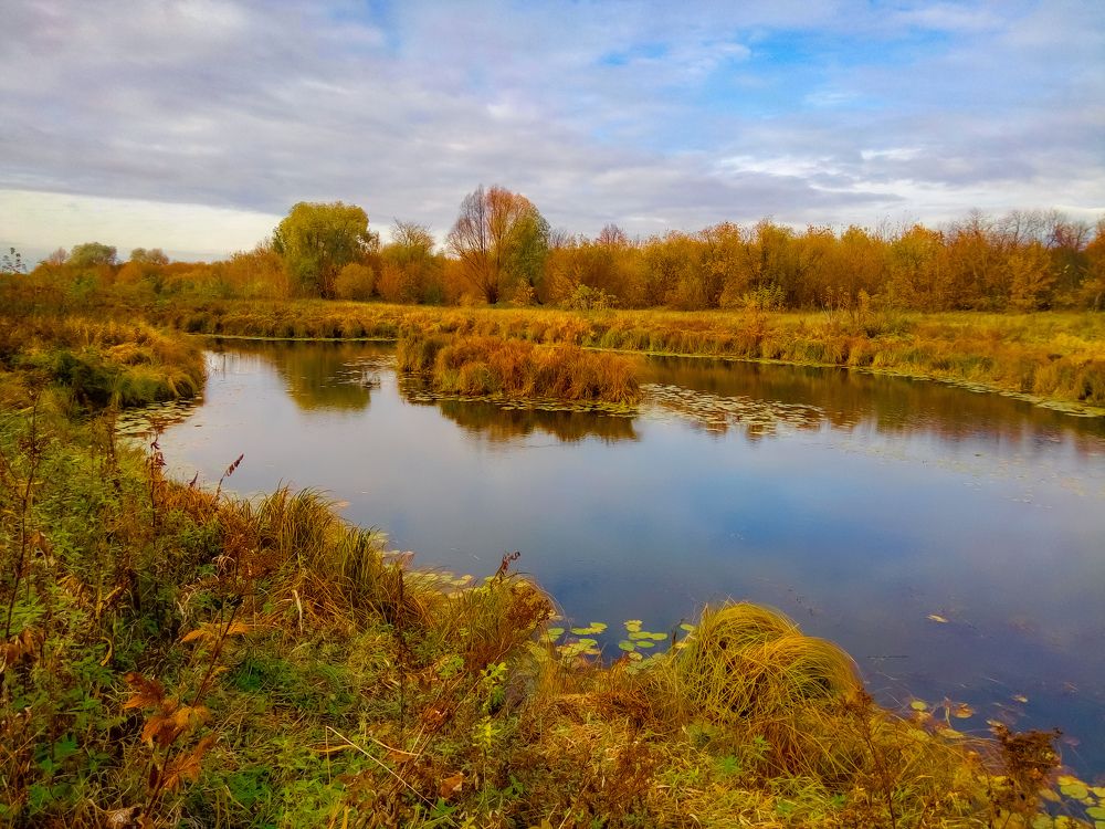 Photograph by Алёна Пшеленская