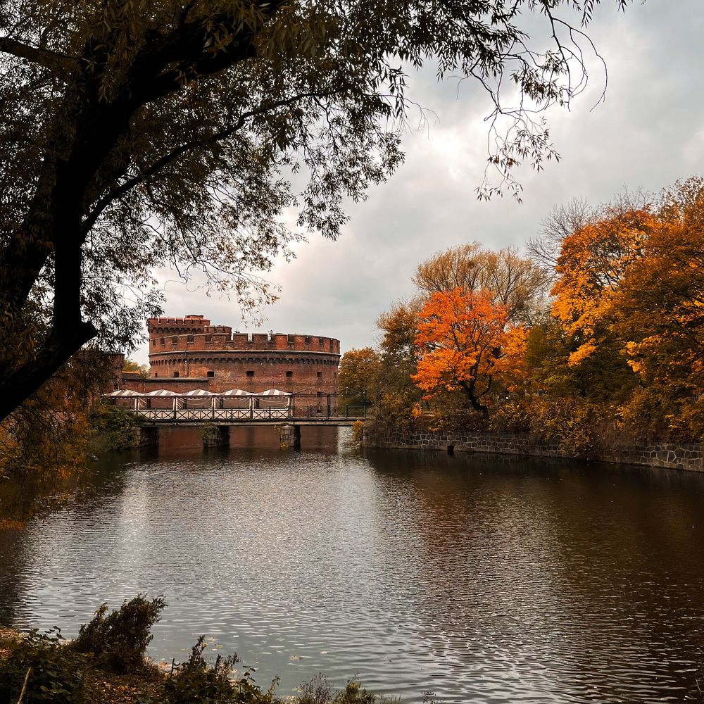 Photograph by Александра Пошехова