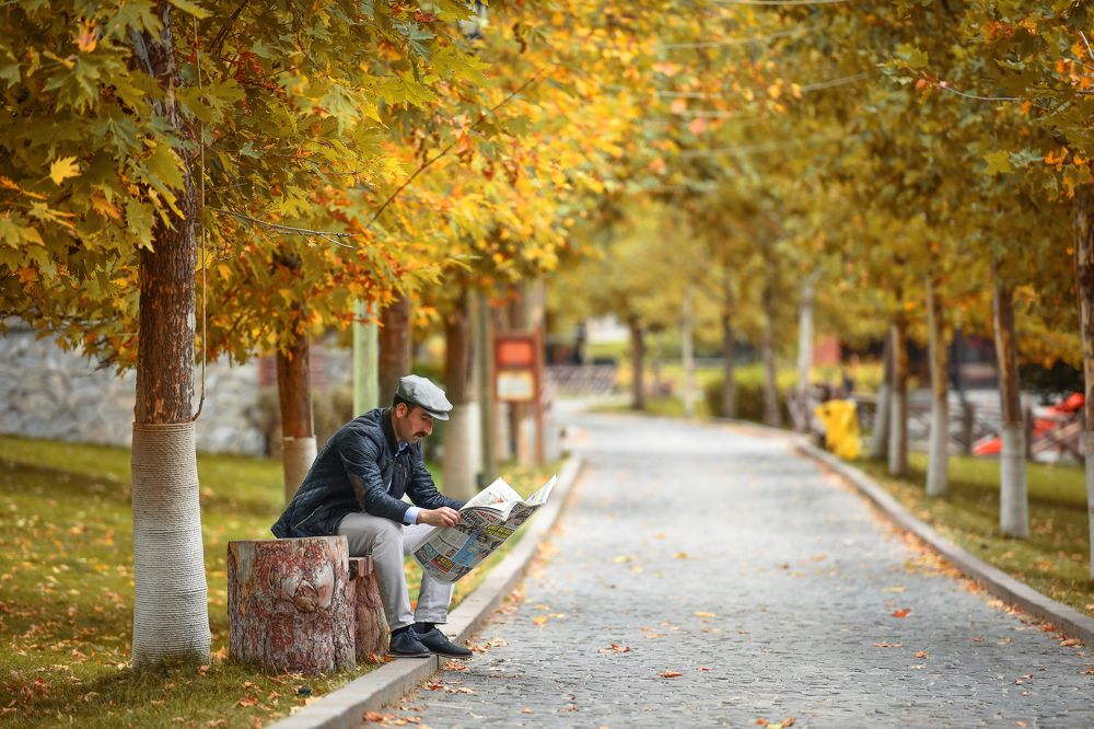 Фотография автора erol yılmaz