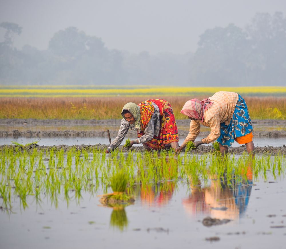 Photograph by Kajal Bala