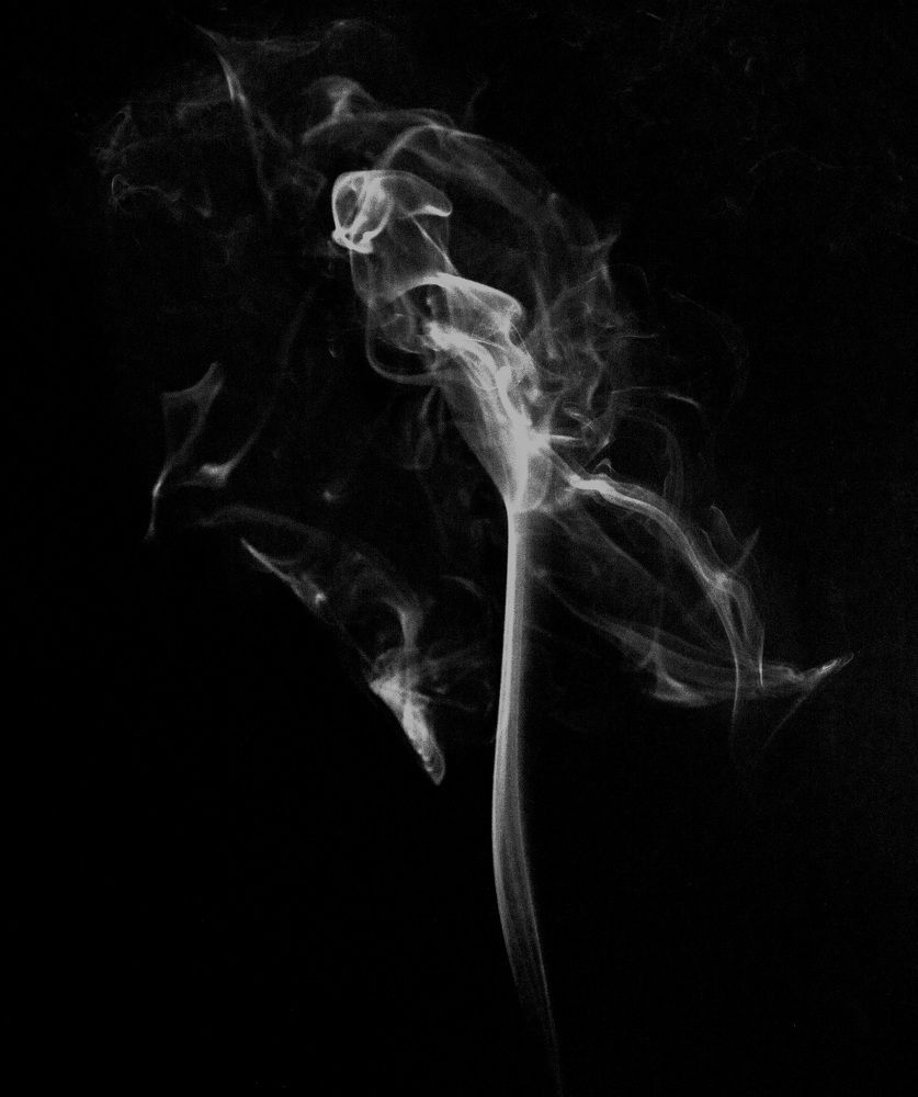 Photograph by Nastya Perekhodkina