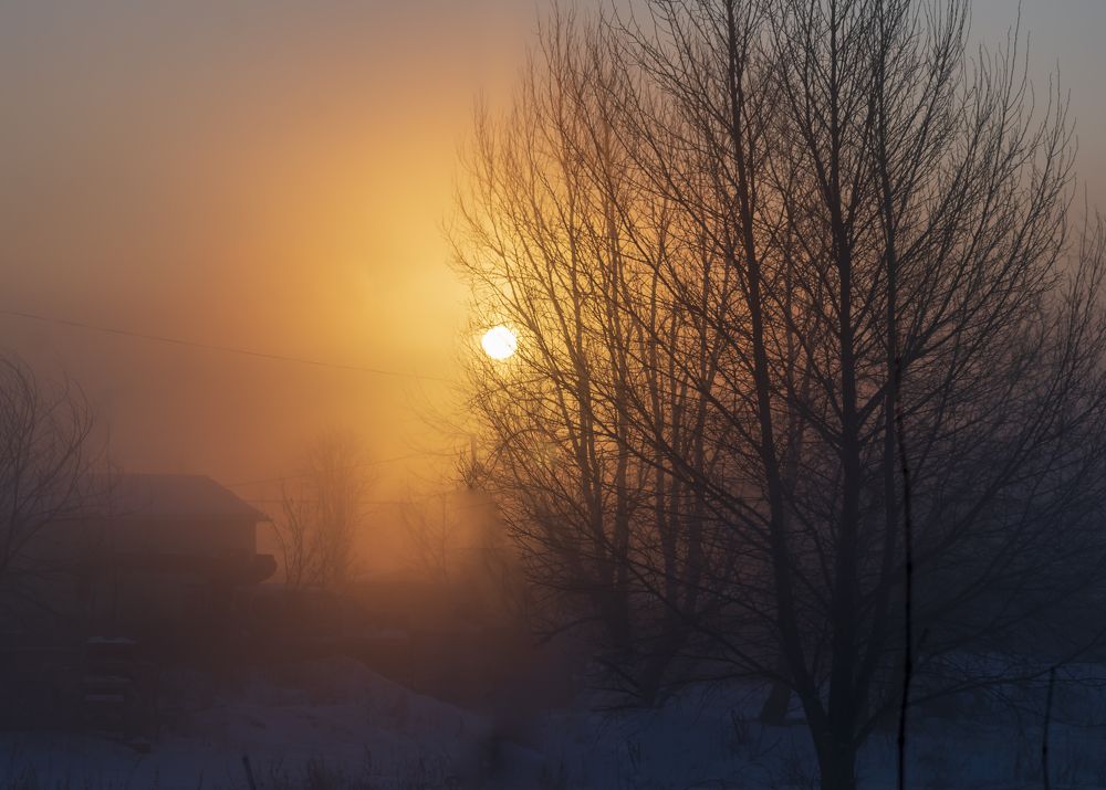 Photograph by Irina Luidinshina