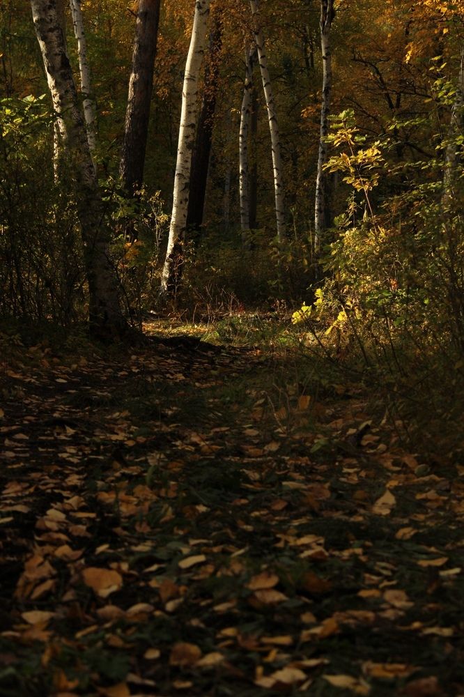 Photograph by Тимофей Федоровцев