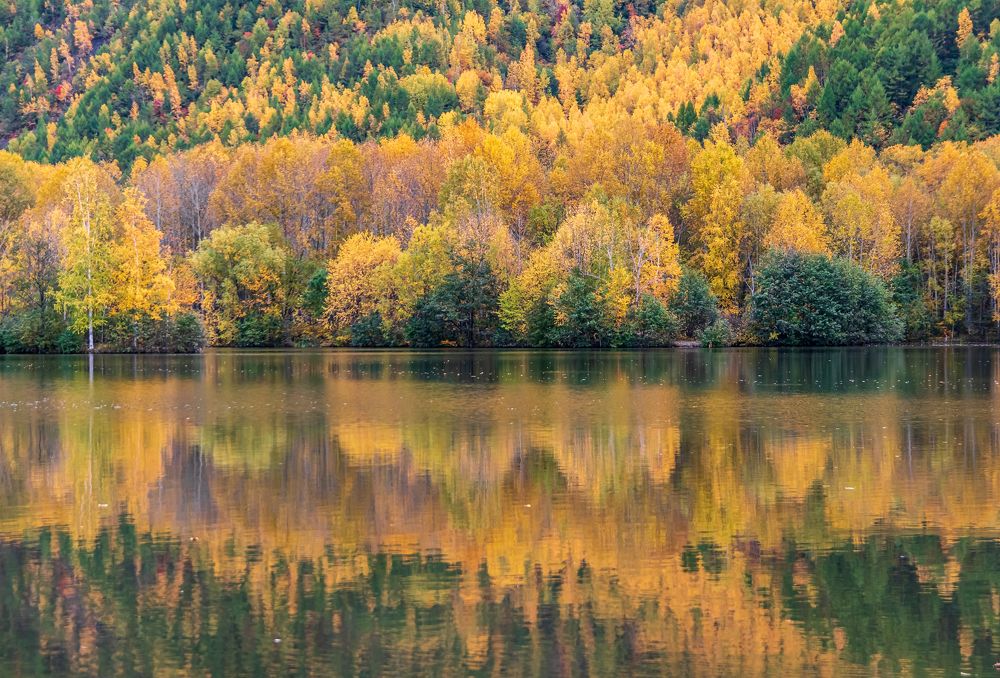 Photograph by Irina Luidinshina