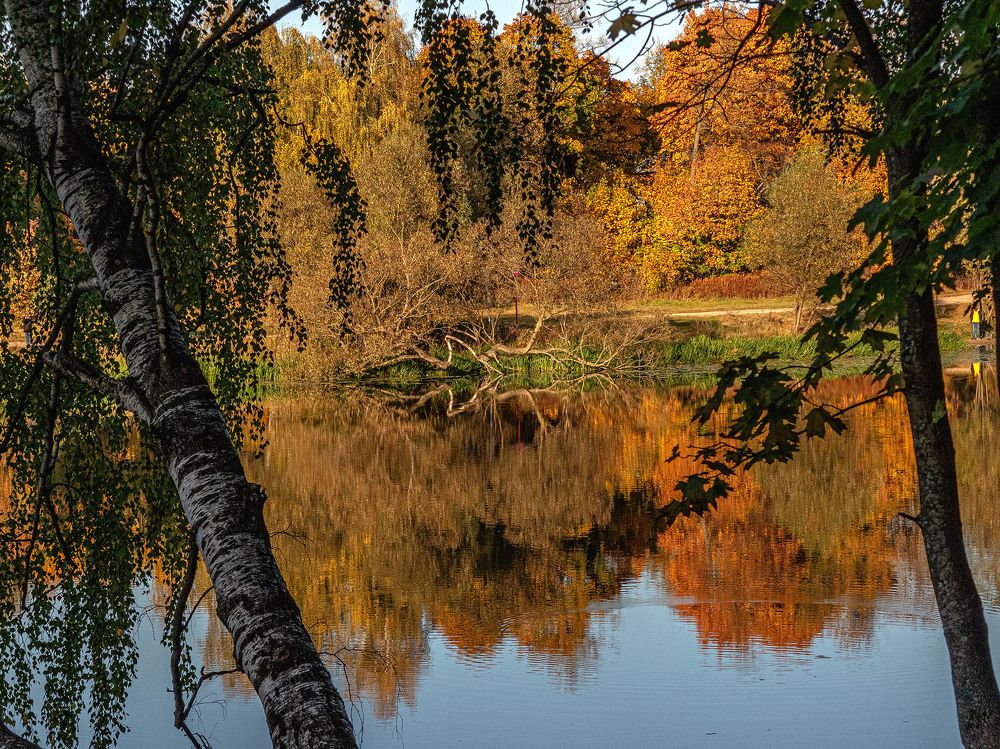 Photograph by Vladimir  Komarov
