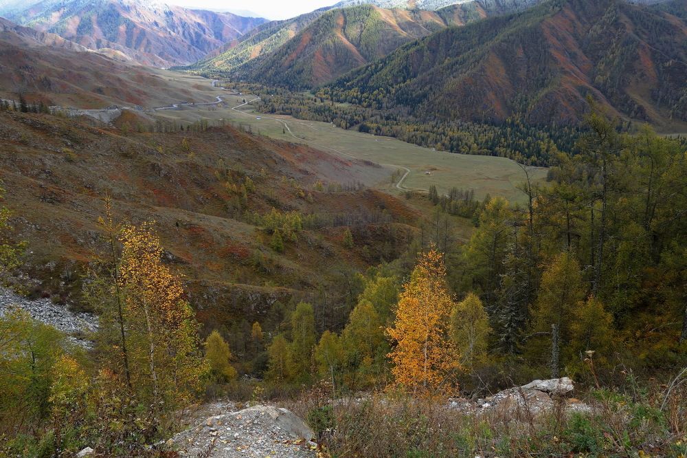 Photograph by Сергей Гребенников