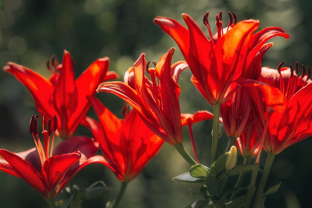 Photograph by  Мария