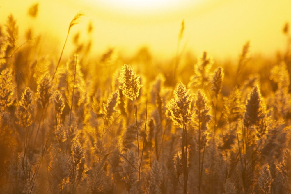 Photograph by Ольга Колокольникова