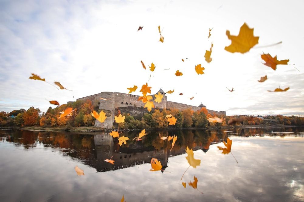 Осенний взрыв