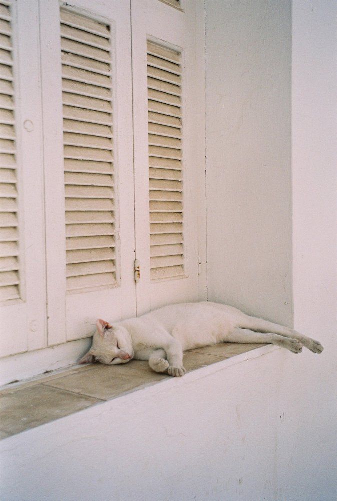 Photo #9588767