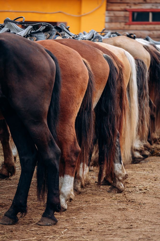 Photograph by Анна Гвоздовская