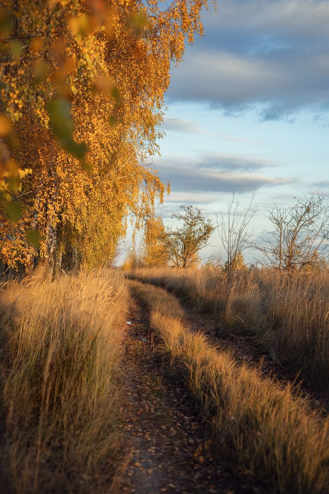 Photograph by Елена Косинова
