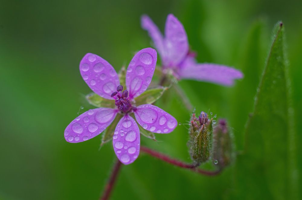 Photograph by Андрей Бурда
