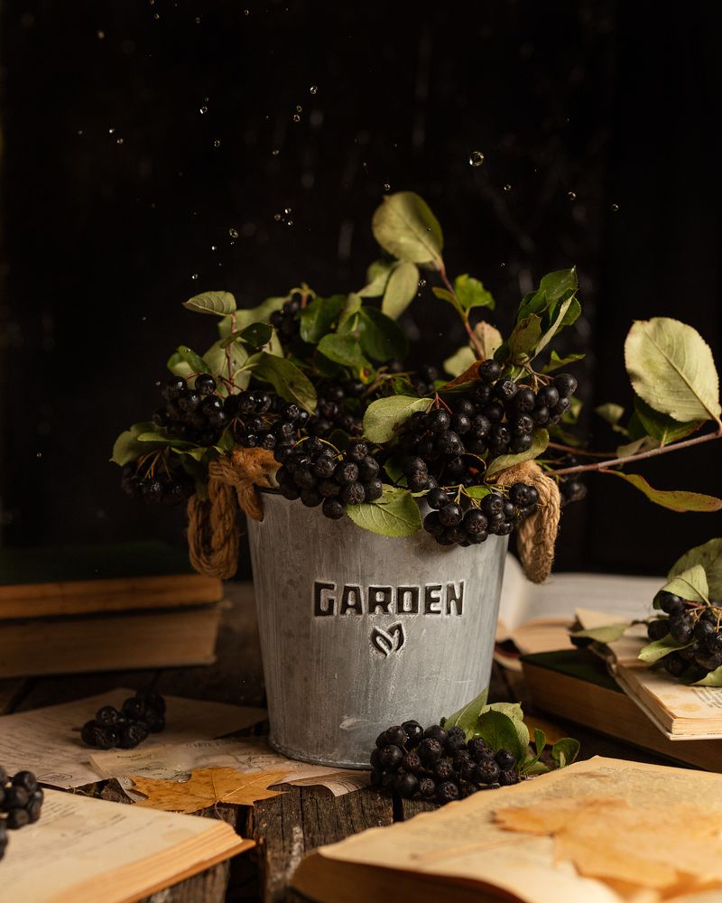 Photograph by Дарья Гомза