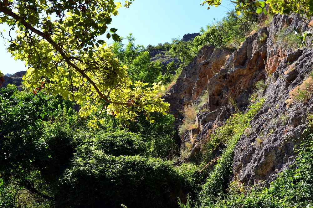 Photograph by Юрий Подвойский