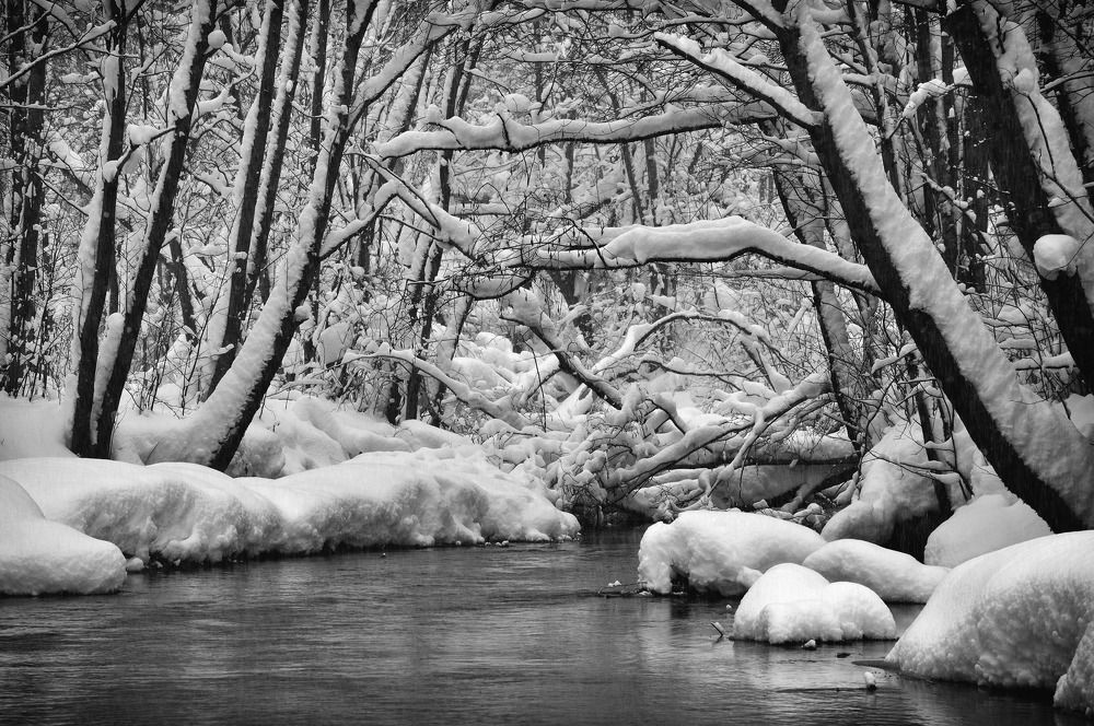 Photograph by Андрей Куликов