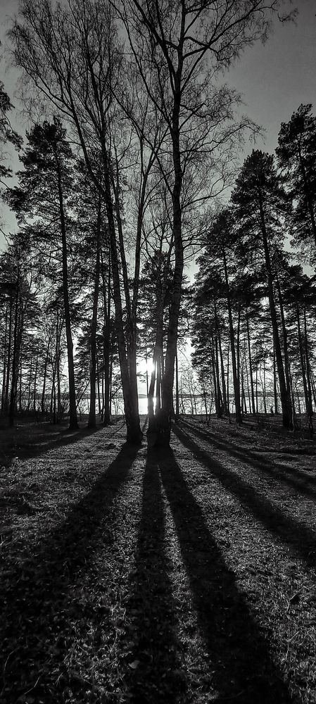 Фотография автора Анастасия Владимирова