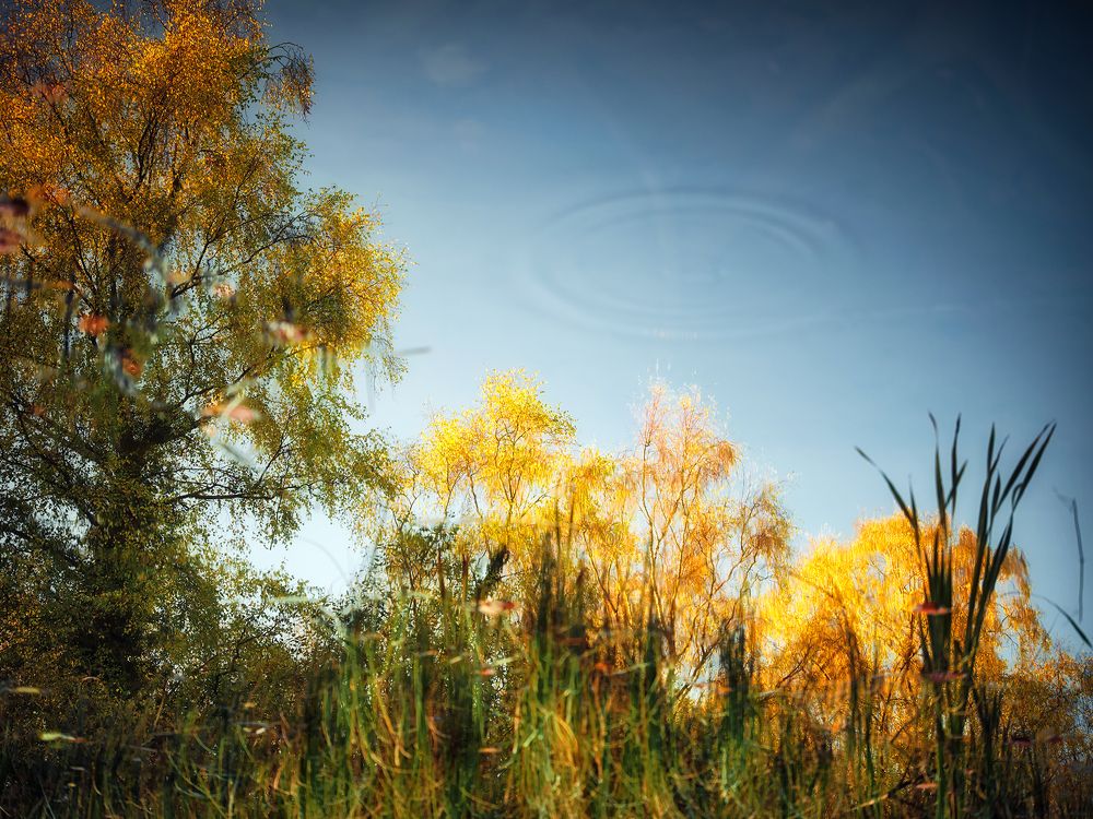 Фотография автора Vasilev Kris