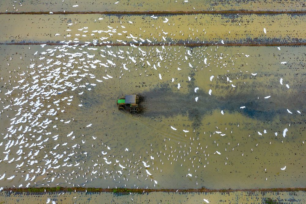 Photograph by Sandheep Pushkar