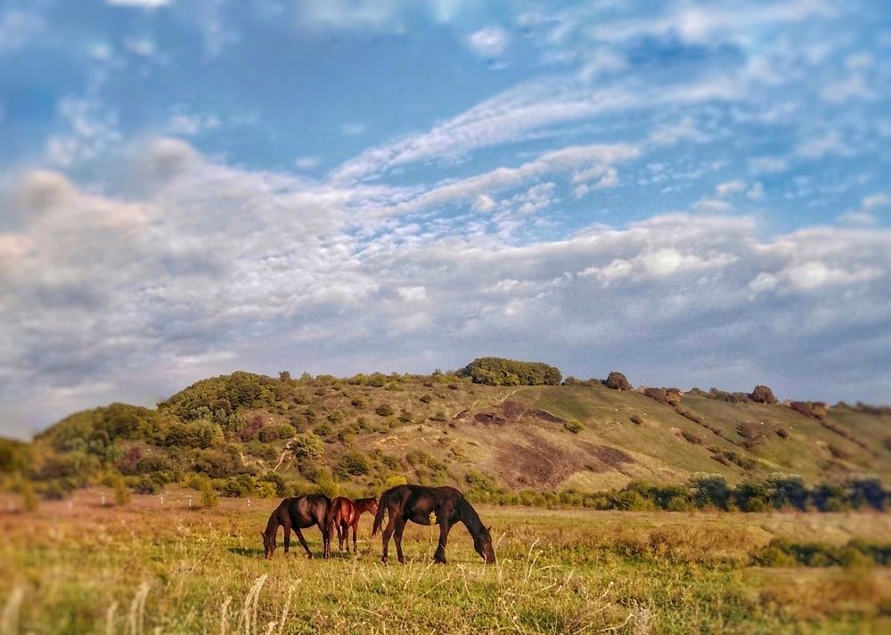 Photograph by Юлия Коробкова