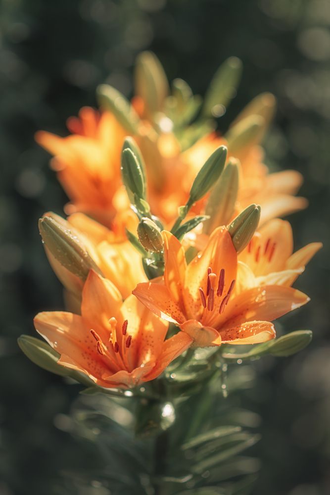 Photograph by  Мария