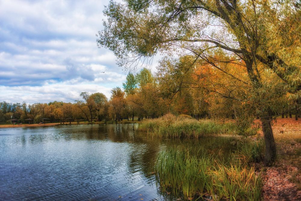 Photograph by Андрей Ныриков