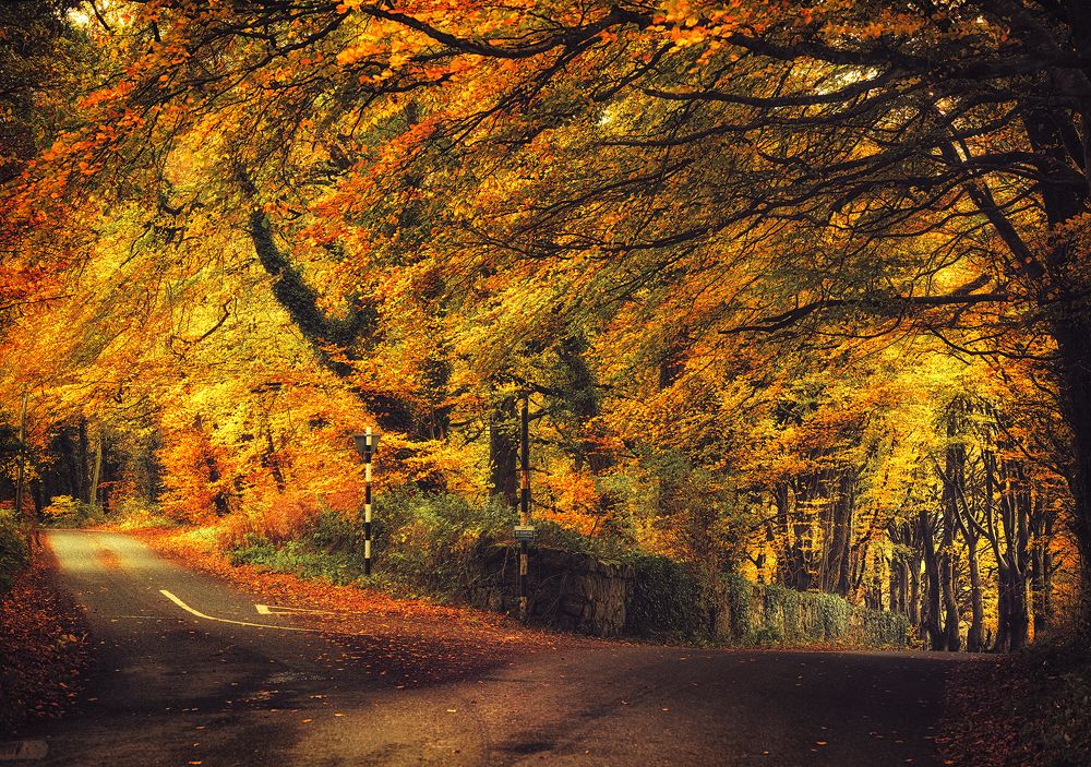 Фотография автора Vasilev Kris