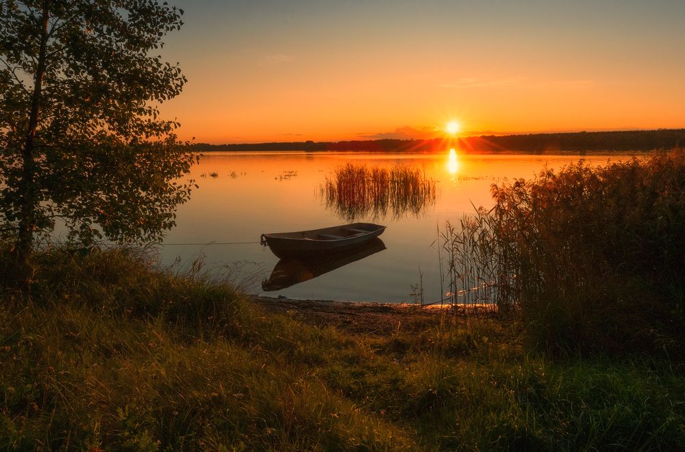 Photograph by Елена Потемина