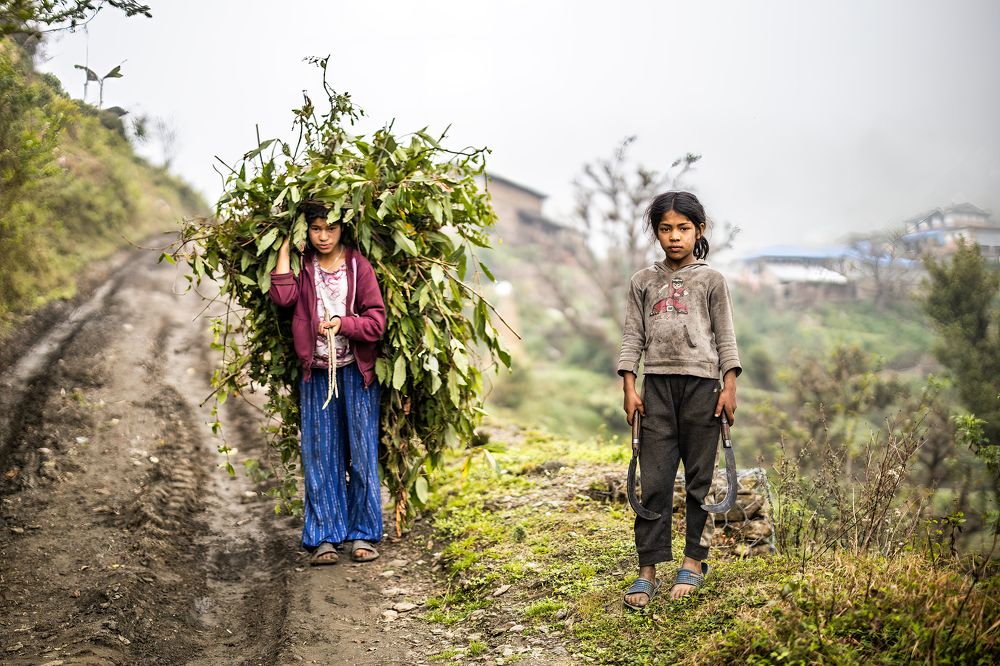 Photograph by Adrian Grigore