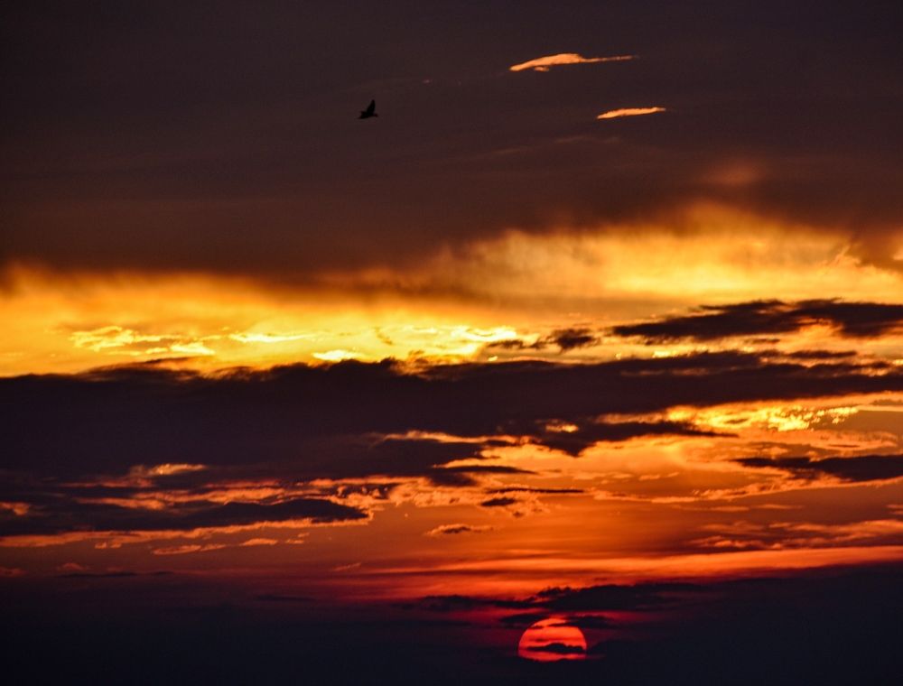 Фотография автора Anurag Banerjee