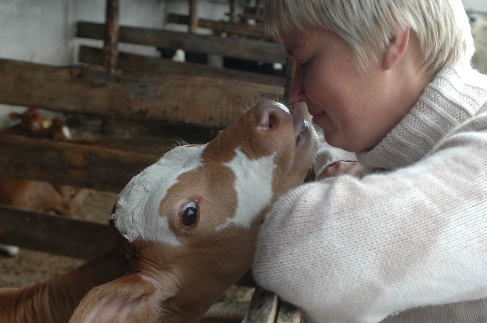 Photograph by Евгения Емельянова